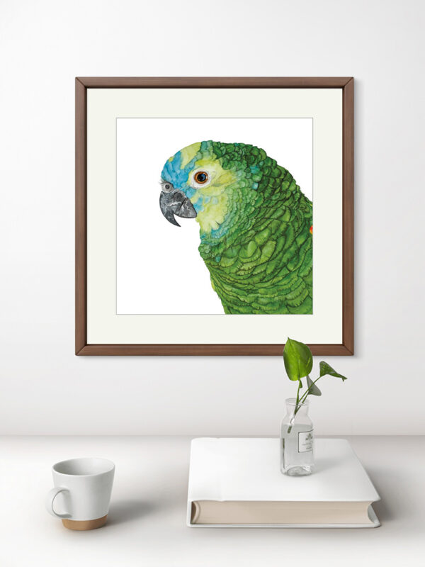 Kunstdruck Blaustirnamazone Coco – Bild 3