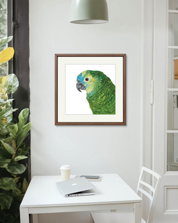 Kunstdruck Blaustirnamazone Coco – Bild 4