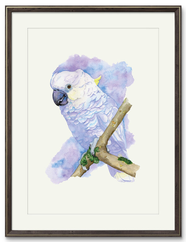 Kunstdruck Gelbhaubenkakadu Bianca – Bild 2