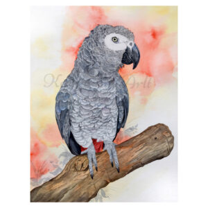 Kunstdruck Graupapagei Poppy