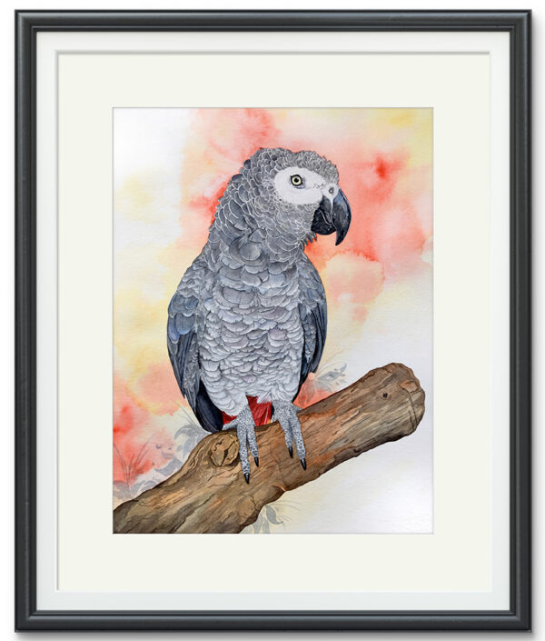 Kunstdruck Graupapagei Poppy – Bild 2