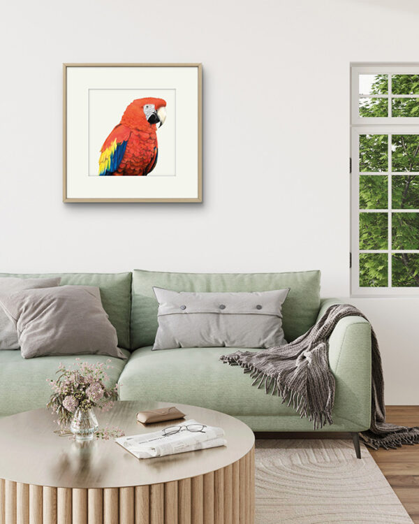 Kunstdruck hellroter Ara – Bild 4