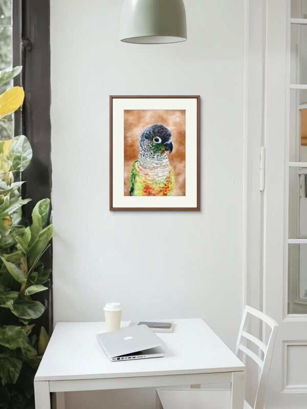 Kunstdruck Rotschwanzsittich Fridolin – Bild 3
