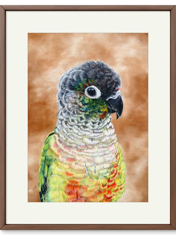 Kunstdruck Rotschwanzsittich Fridolin – Bild 2