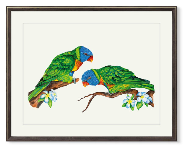 Kunstdruck Regenbogenloris – Bild 2