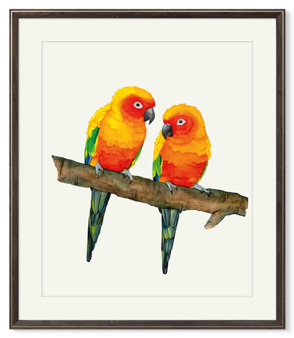Kunstdruck Sonnensittiche – Bild 2