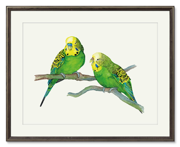 Kunstdruck Wellensittichpaar – Bild 2